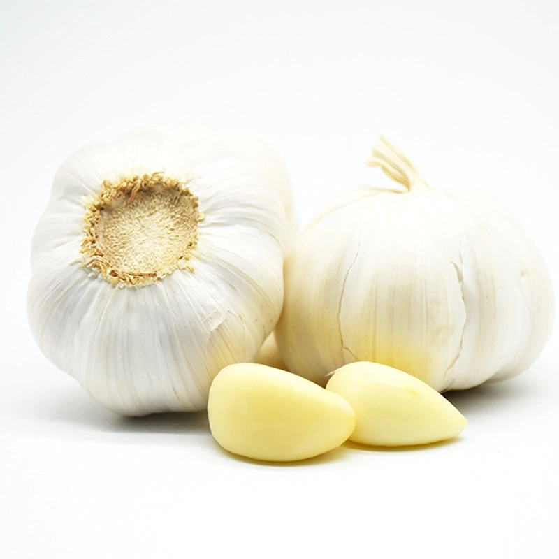 Fresh Garlic From China