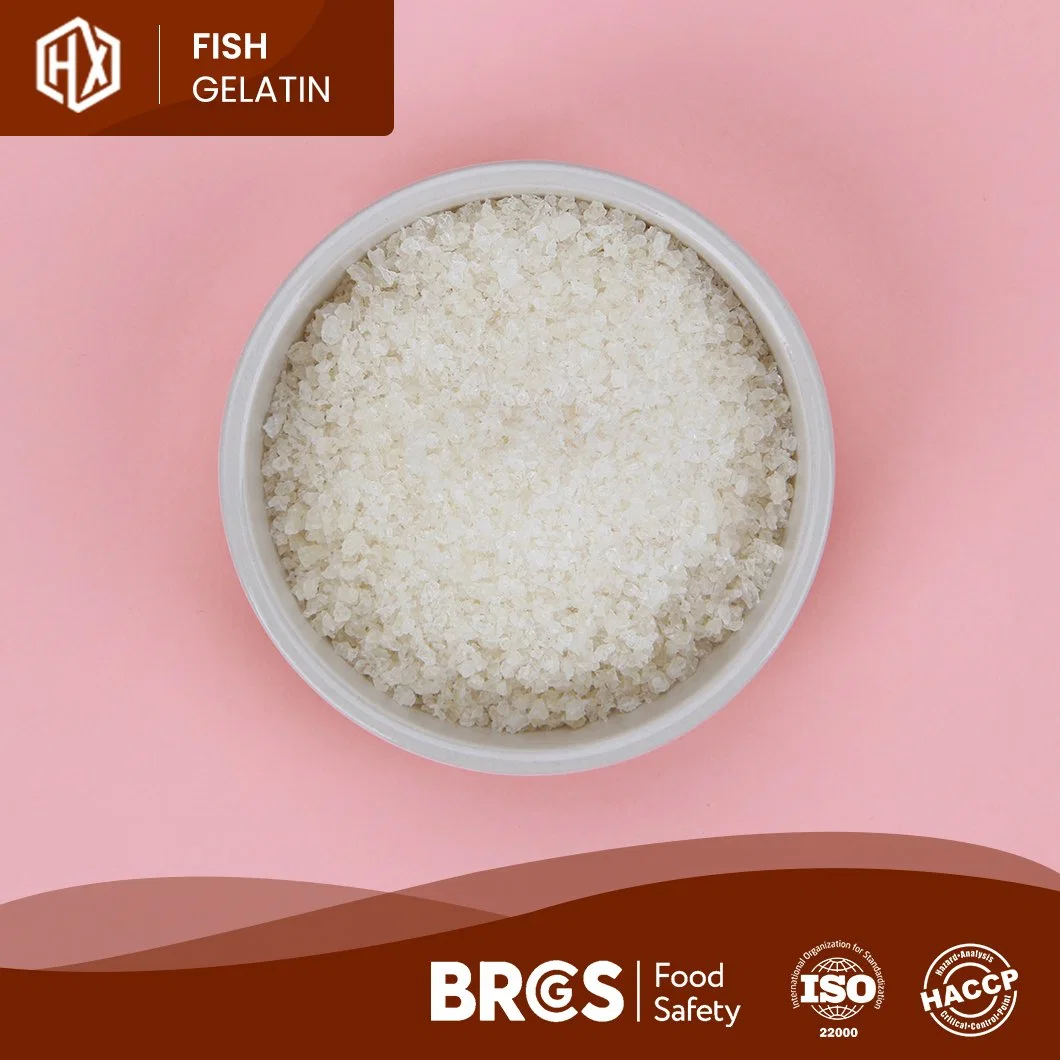 Haoxiang OEM Customized Powdered Cod Fish Skin Gelatin China Pharma Cod Fish Skin Gelatin Manufacturing Functional Food Marine Cod Fish Skin Gelatin