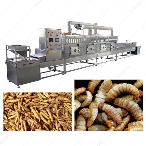 Industrial Conveyor Tunnel Microwave Dryer Sterilization Equipment Black Soldier Fly Bsf Larva Maggots Tenebrio Molitor Drying Dryer Machine