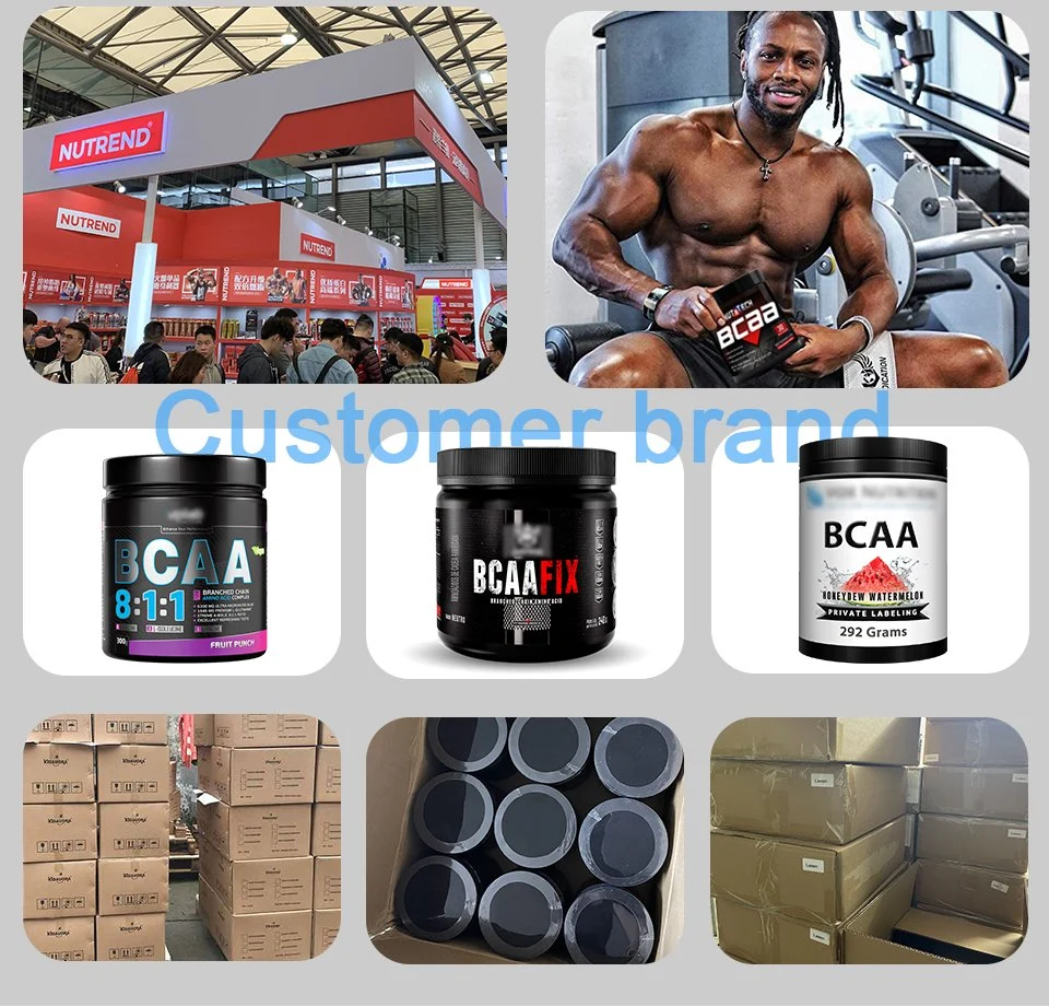 Private Labels Sport Supplements Amino Acids Instant 211 611 Vegan Bcaa Electrolyte Green Apple Powder with Lower Price Bcaa