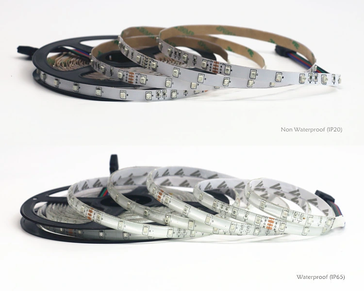 12V SMD2835 LED Strip Light IP65 60LED/M RGB