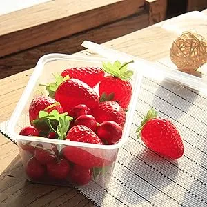 PP Dry Food Plastic Quality Storage Lunch Box Food Container