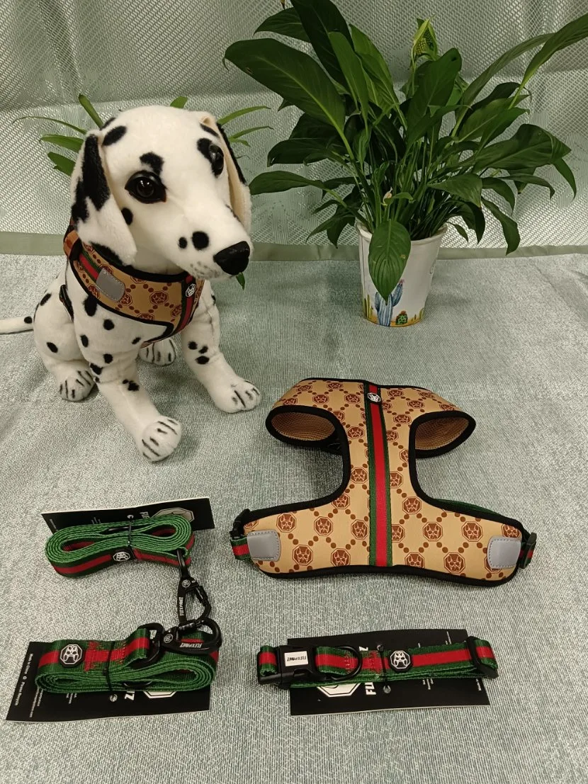 Professional Pet Supplies Dog Harness and Leash Retractable Dog Leash/Pet Toy/Pet Accessory