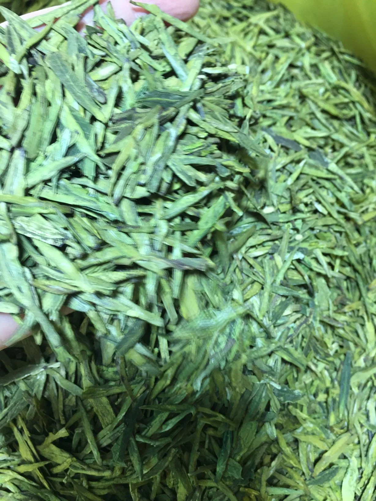 Chinese Dragon Green Tea From Hangzhou Longjin City