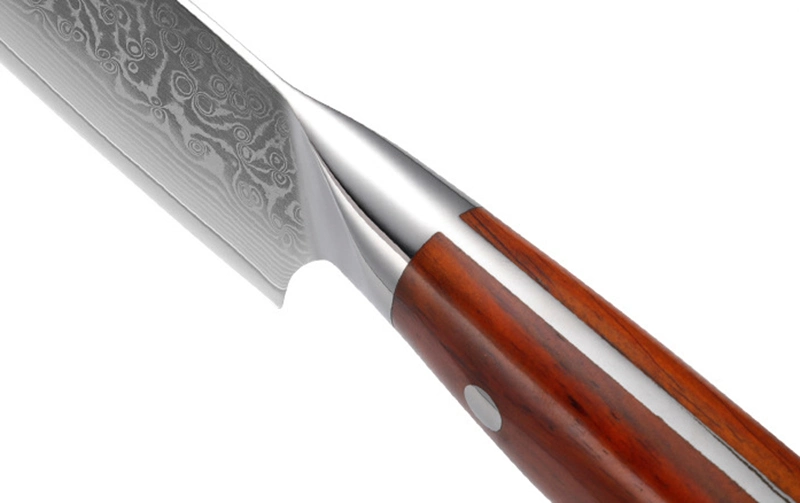 8 Inch Professional 67 Layers Damascus Steel Rosewood Solid Wood Handle Sharp Kitchen Chef Knife with Gift Box
