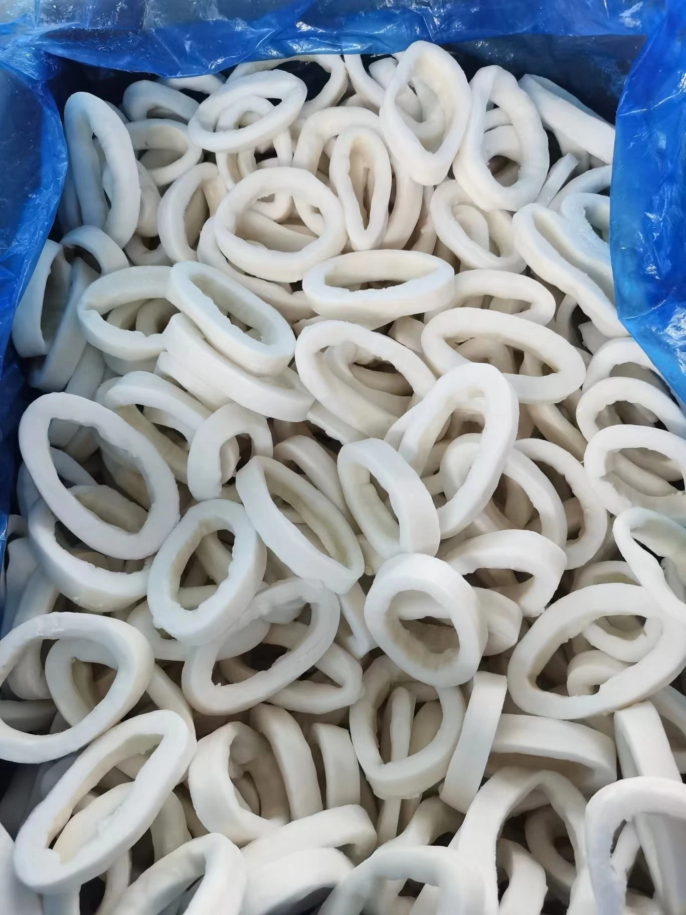 Frozen Squid Ring/Anillas De Pota/Illex Squid Ring/Todarodes Squid Ring/Gigas Squid Ring/Frozen Seafood