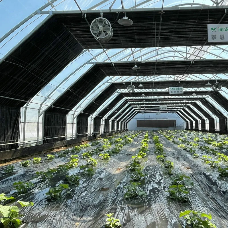 Сельское хозяйство Poly Tunnel100% Blackout Автоматическое лишение света Greenhouse для Канады / США