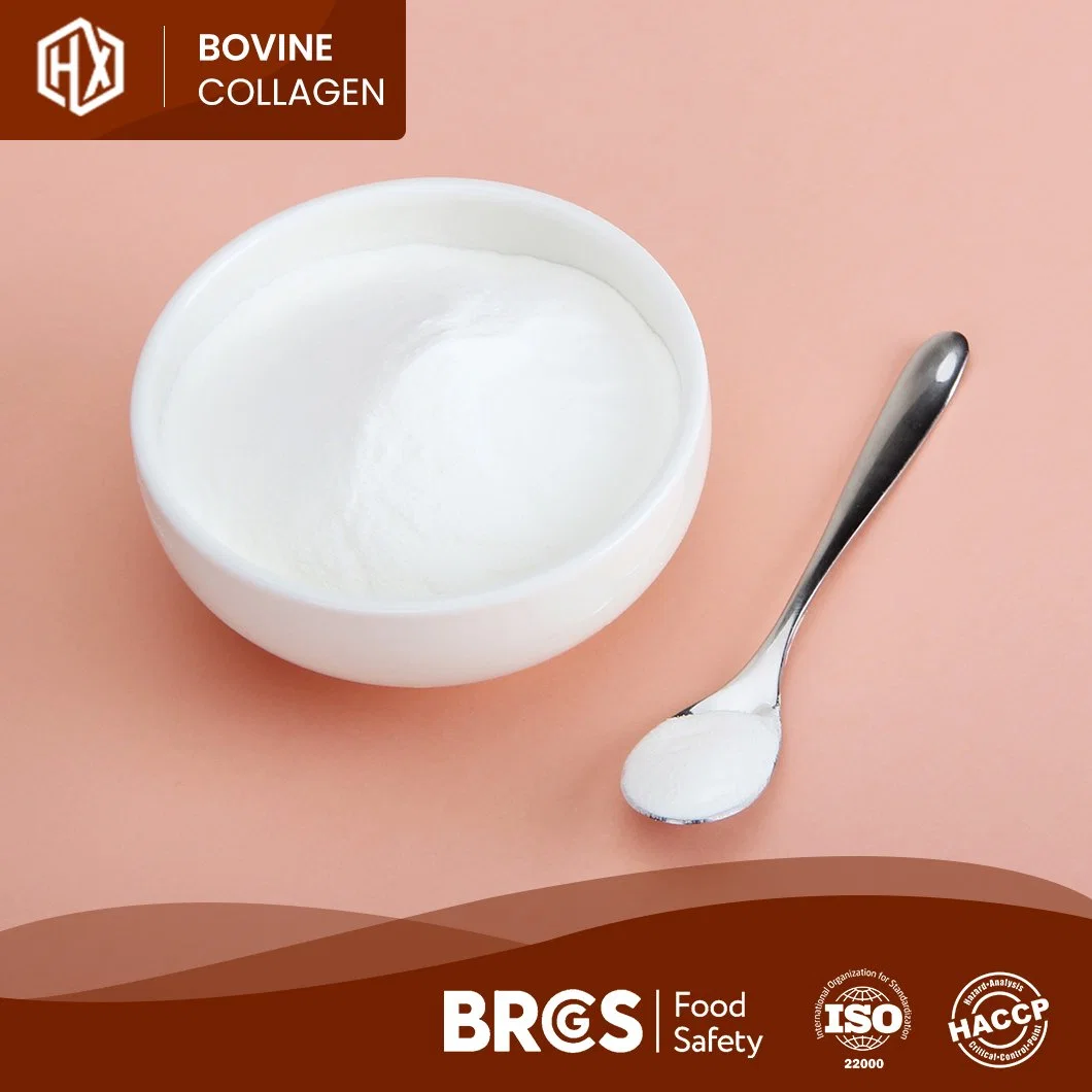 Haoxiang colágeno tipo 1&amp; 3 proteína Suplemento péptidos colágeno de alta calidad De Bovine Bone China Fabricantes One-Stop Servicio Collagen polvo con Proteína