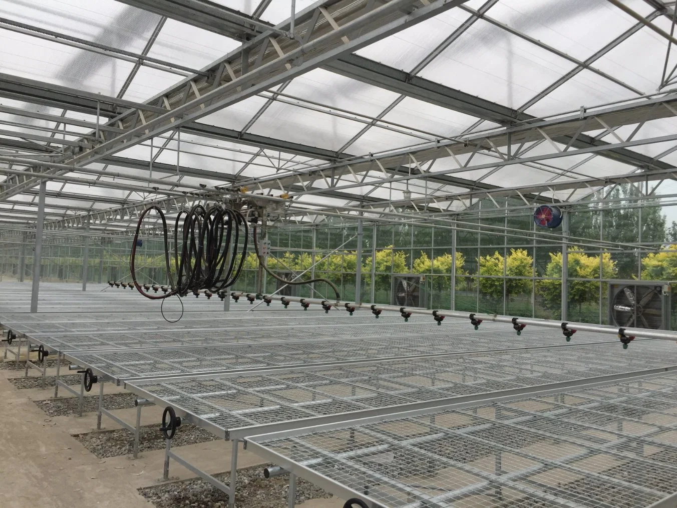 Estufa da película do berçário com Bench rolando e irrigação da cabeça para flores, tomates, morangos