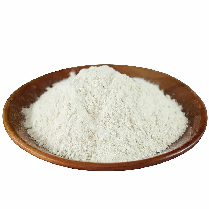 Dehydrated White Onion Powder Manufacturer