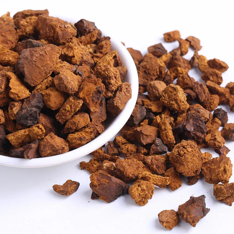 China Supreme Dry Inonotus Obliquus Medicinal Mushroom Dried Chaga Mushroom