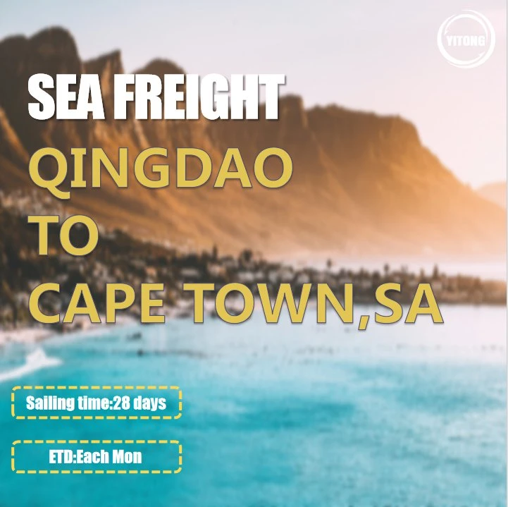 Cargo Ship Price From Qingdao to Cape Town South Africa