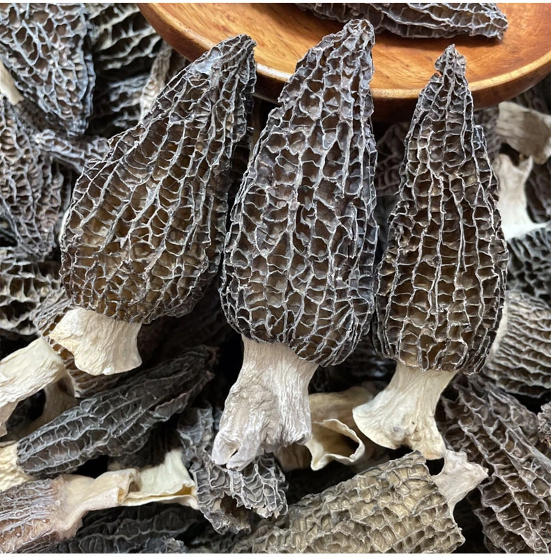 Hot Products Wholesale/Supplier Price Natural Dried Wild Morel Berry Mushroom Price of Black