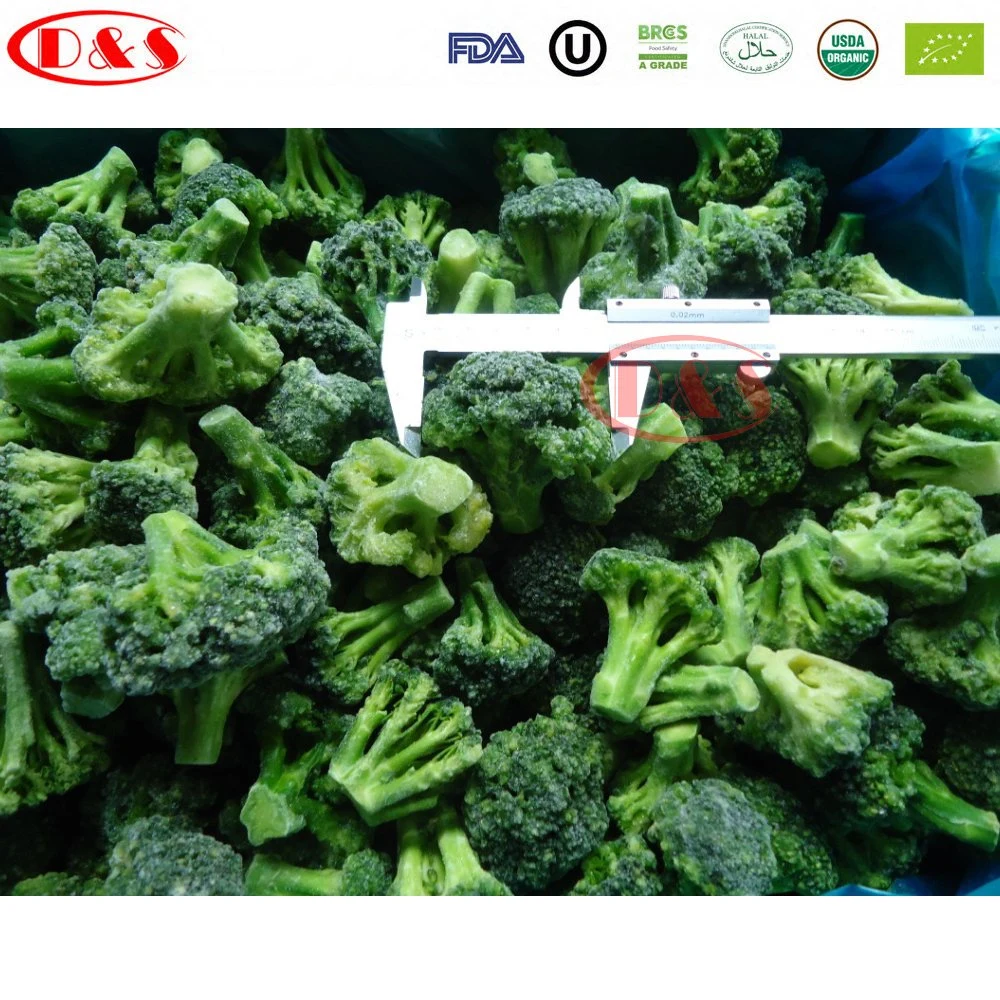 3-5cm Prix de gros de la coupe de fleuret de brocoli IQF congelé.