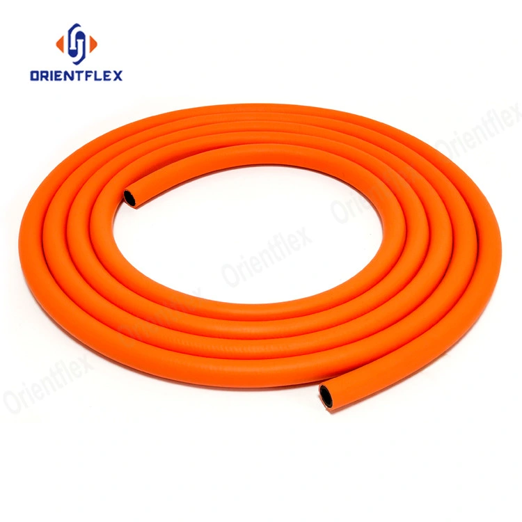 PVC Natural LPG Lp Gas Grill Gas Extension Hose