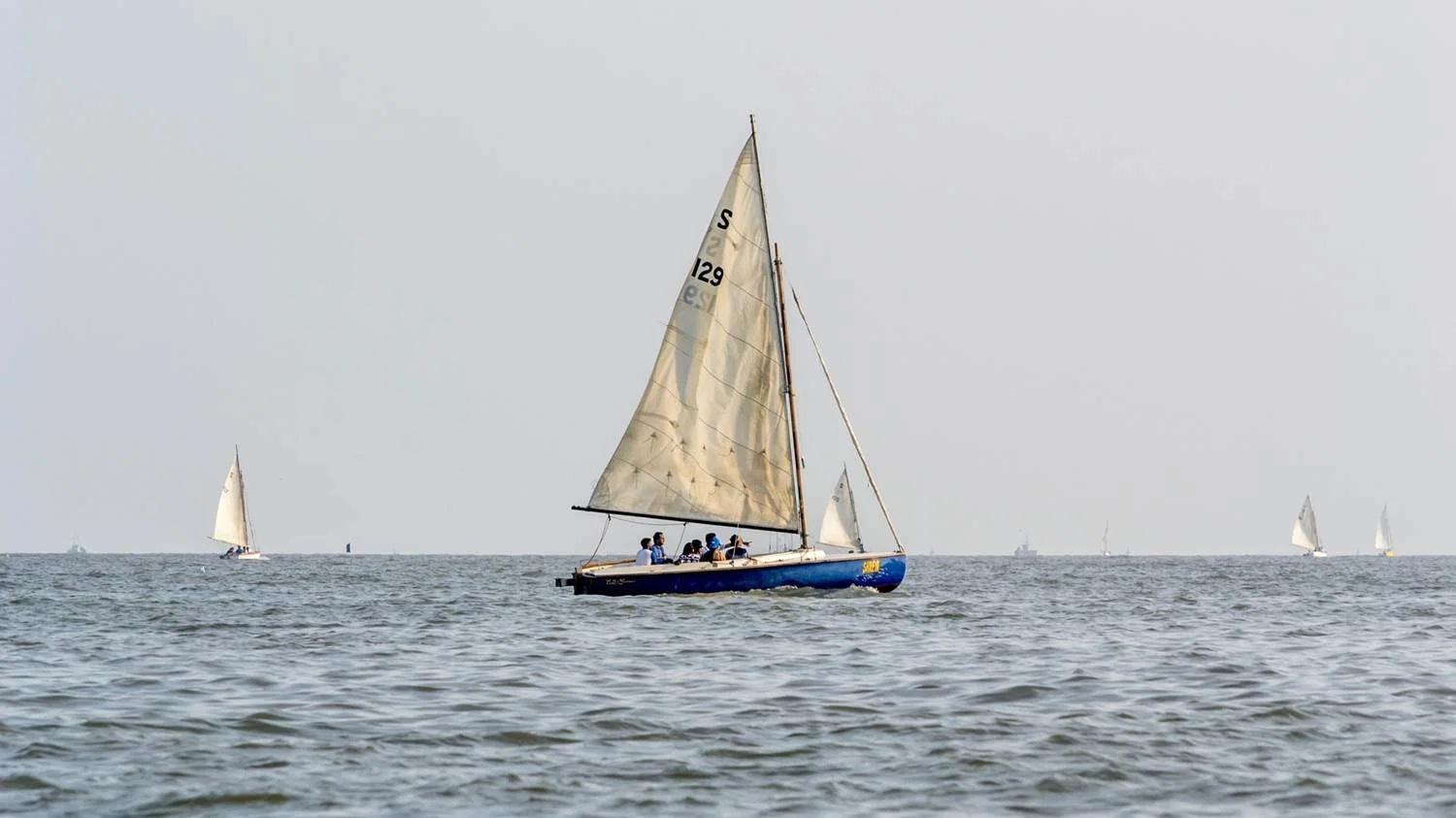 Fiberglass Material Sailing Boat for Sale