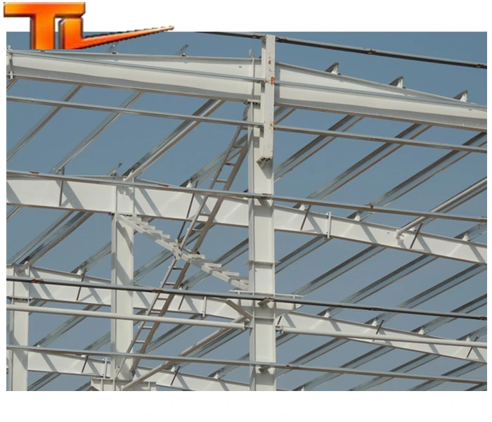 Steel Structure Facotry Manufacture Prefab Prefabricated Construction Building