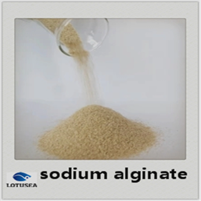 Textile Grade Sodium Alginate 200mesh 2000cps High quality/High cost performance 