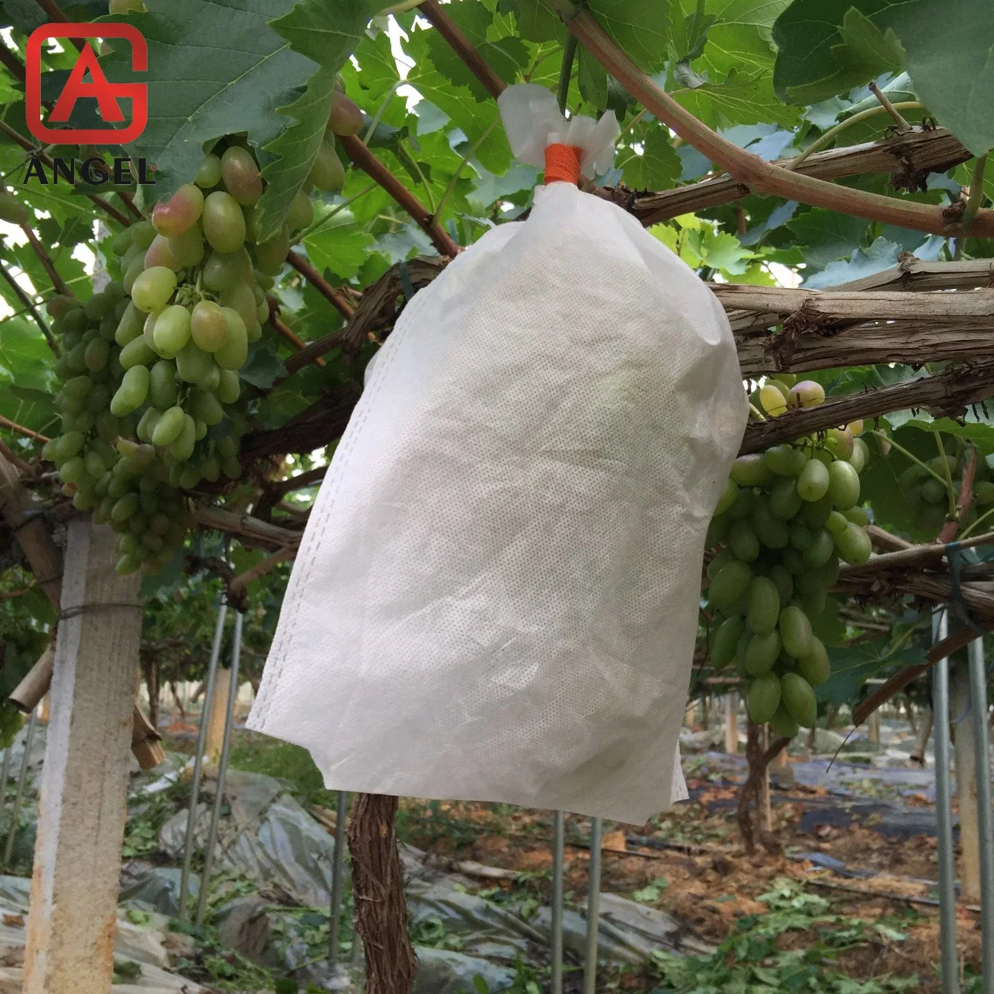 Sunscreen Nonwoven Fabric Grape Bag Fruit Protection Bag