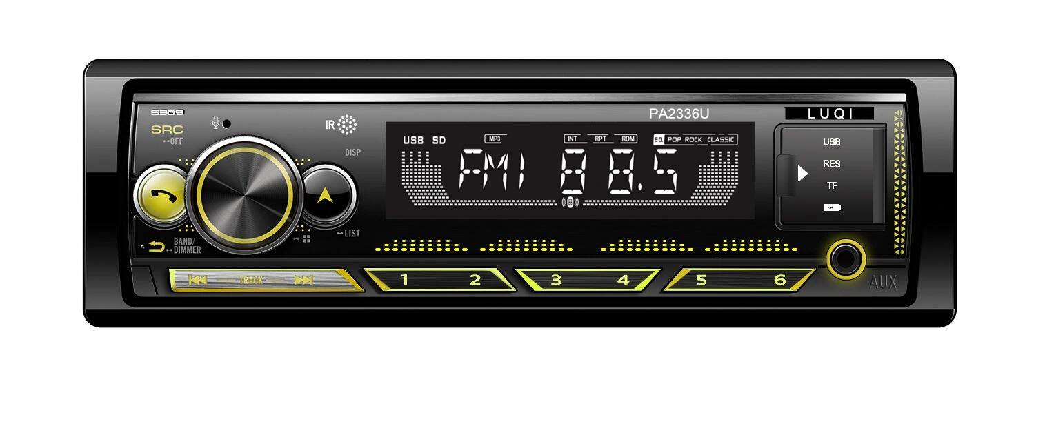 Consumer Electronics zwei USB Car MP3 FM Sender Audio-Player