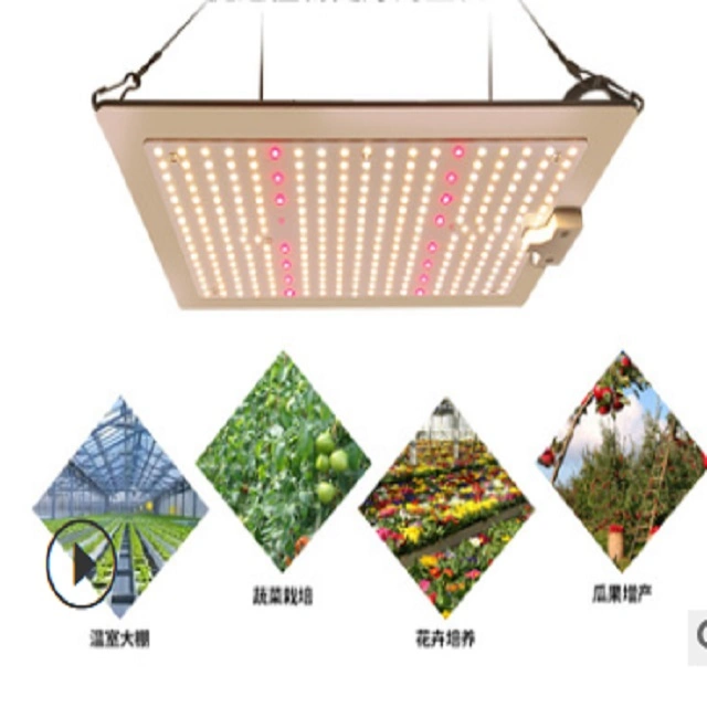لوحة LED كاملة الطيف بدقة 480 واط لزيادة حجم اللوحة لداخل المنزل النباتات