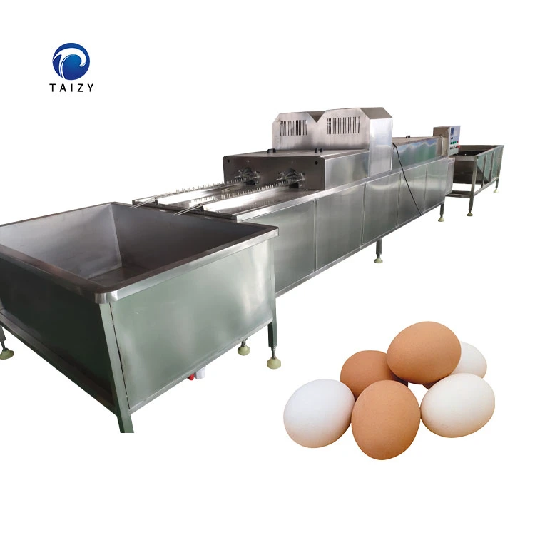 Duck Egg Cleaning Drying Sterilizing Machine Egg Washing Machine for Sale