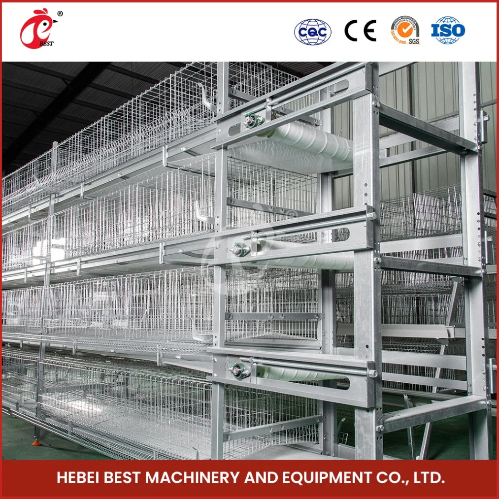 Bestchickencage H Type Automatic Pullet Cage China Plastic Pullet Hen House Manufacturing Free Sample Applicable Chicken Farm Pullet Chicken Coop for 10 Hens