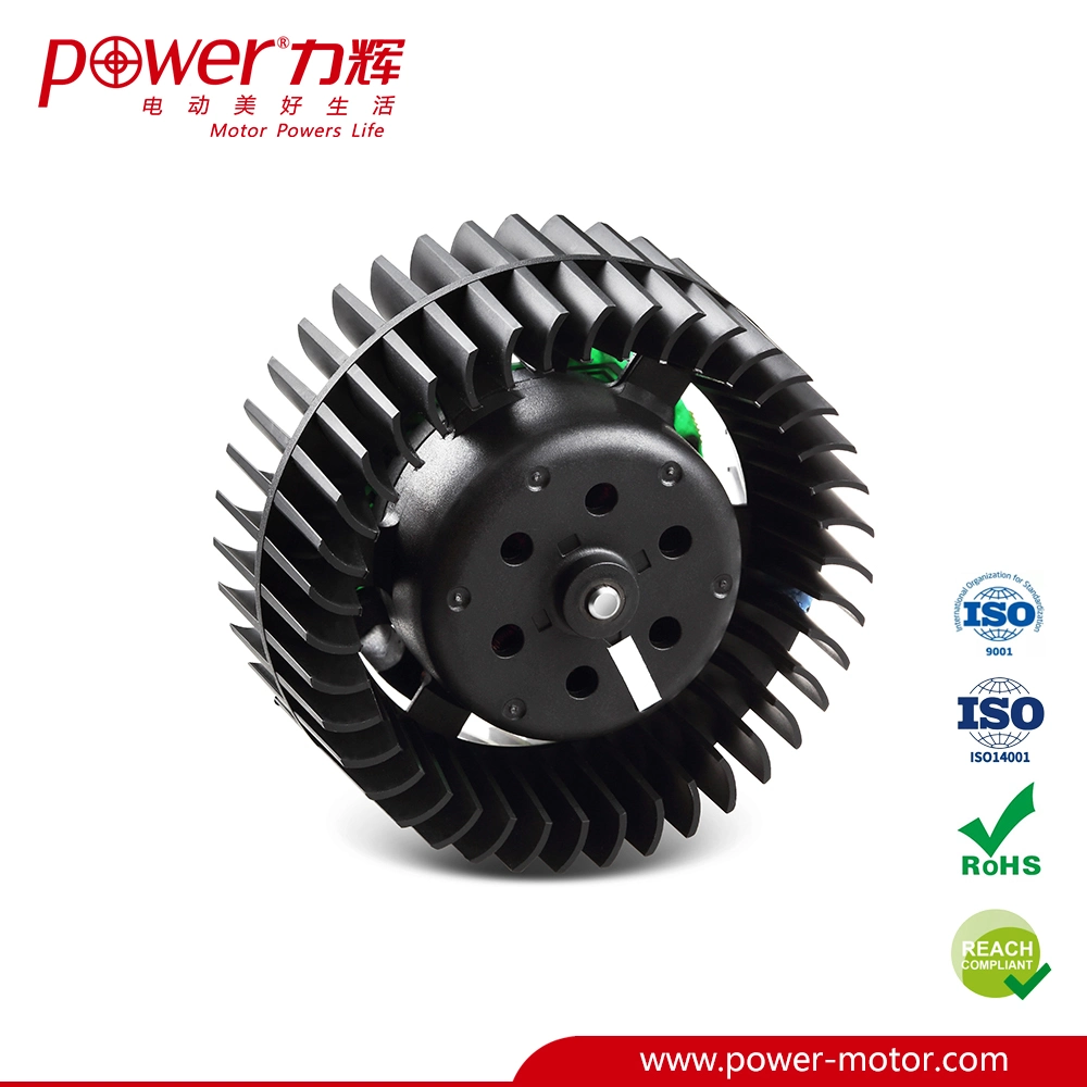 230V High Effiiciency Brushless DC Hair Dryer Motor