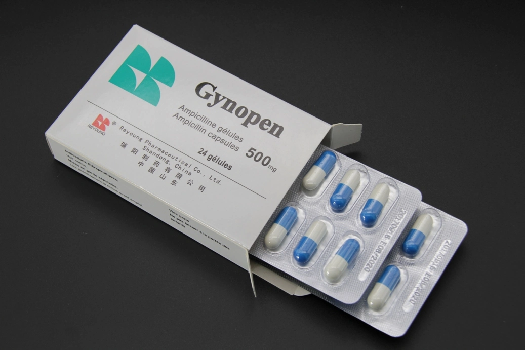 Ampicillin Kapsel 500mg