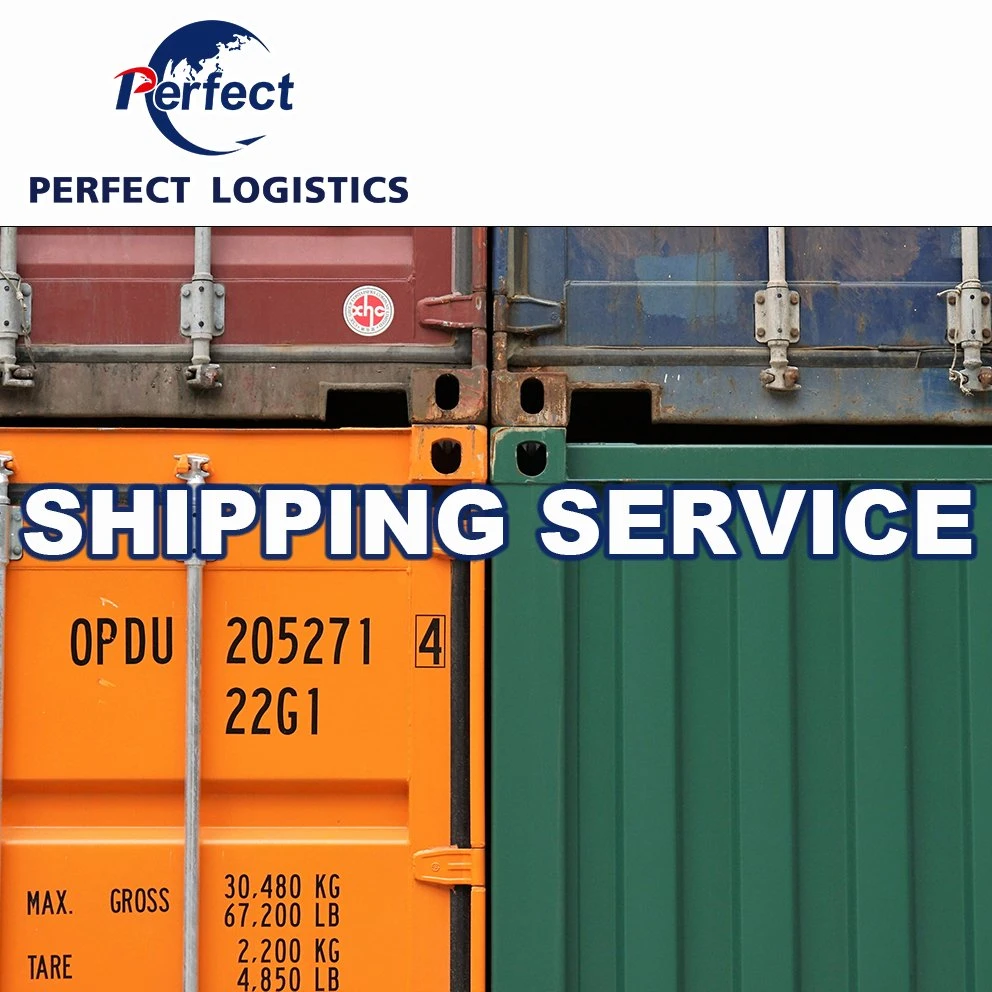 top1 China LCL FCL sea Freight Logistics Agente de Transporte de China En todo el mundo