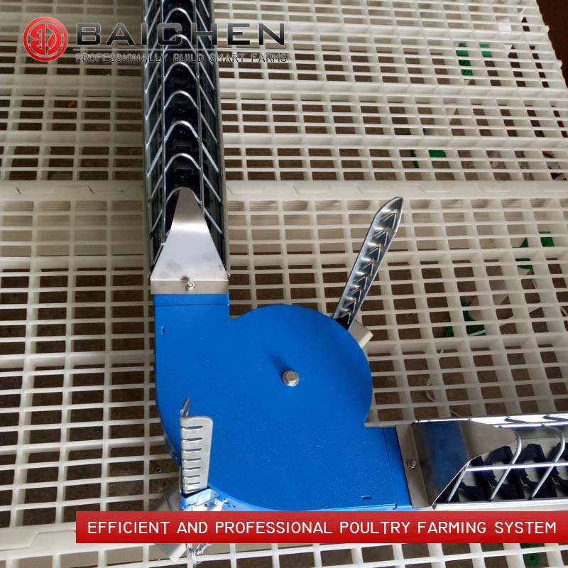 Automatic Poultry Breeder Chicken Feeder Farm Chain Feeding System