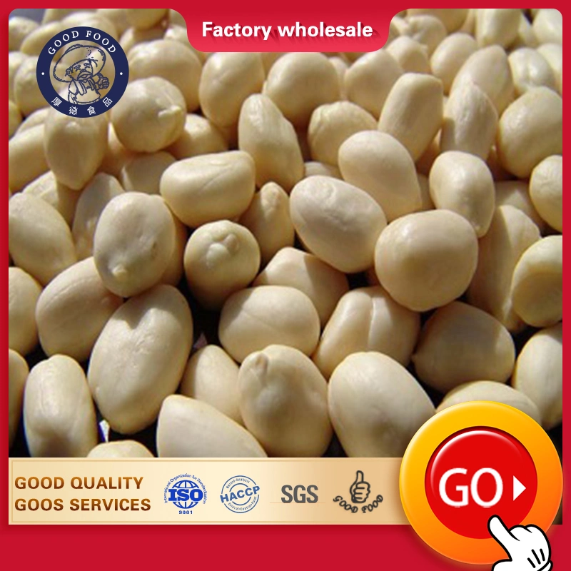 Professional Supply Competitive Organic Blanched Kernels Peanut From Shandong