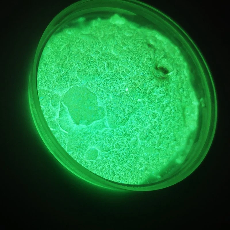 Glow in Dark Pigment Strontium Leuchtende Beschichtung DIY Pigment Powder
