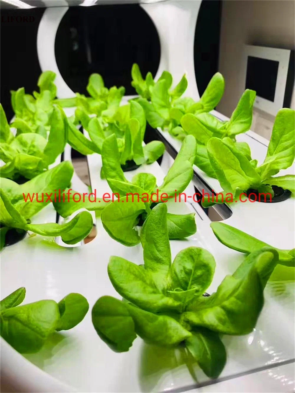 Indoor Automatic Hydroponics Growing System Vertical Farming