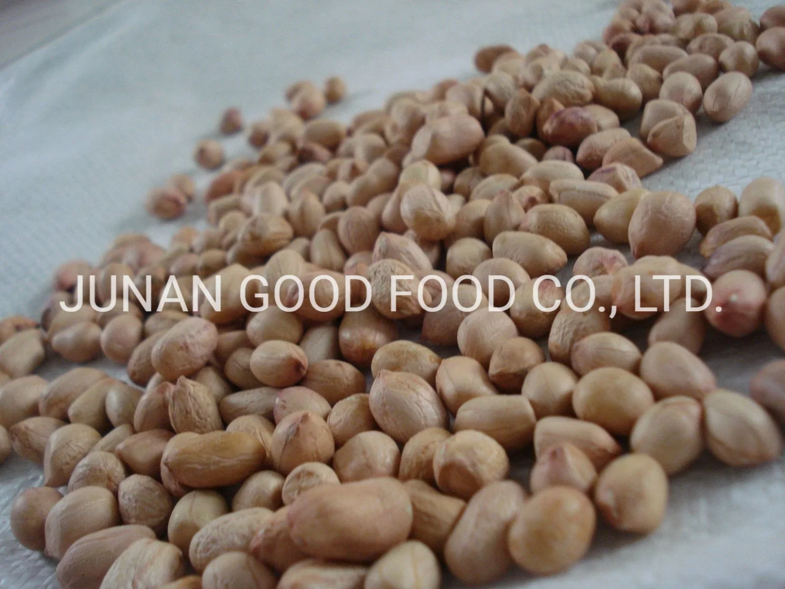 High quality/High cost performance Java Peanuts 80/90