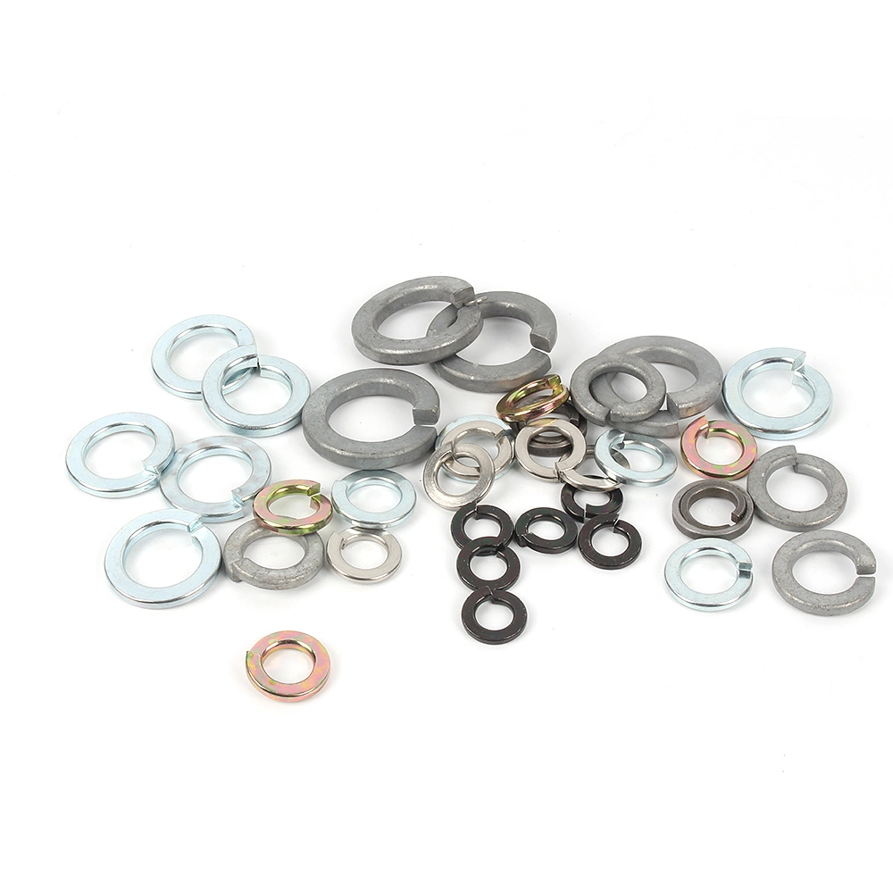 Factory Stainless Steel Spring Washers