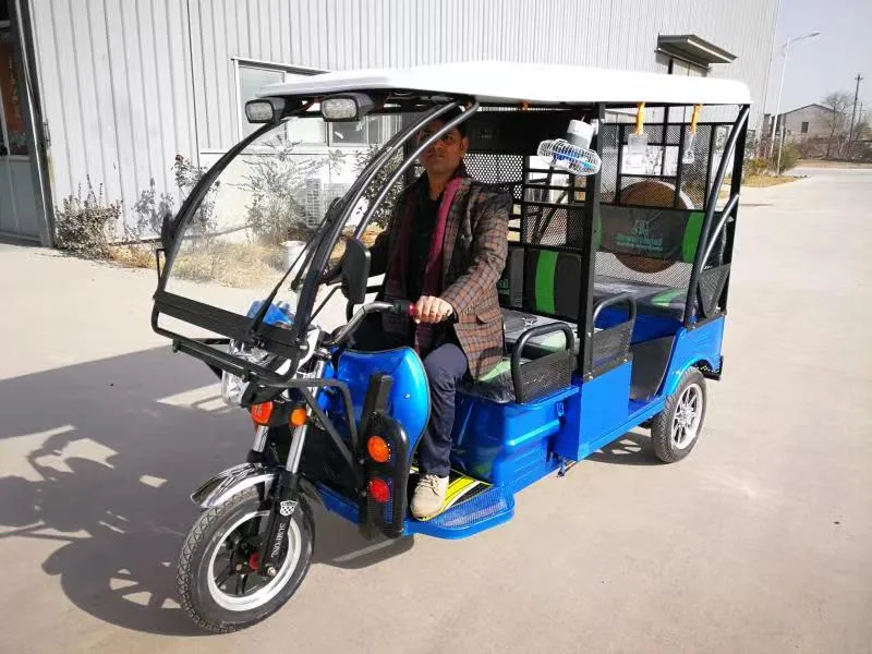 1000W Motor 24 Tubes Controller Passenger Rickshaw for India and Nepal