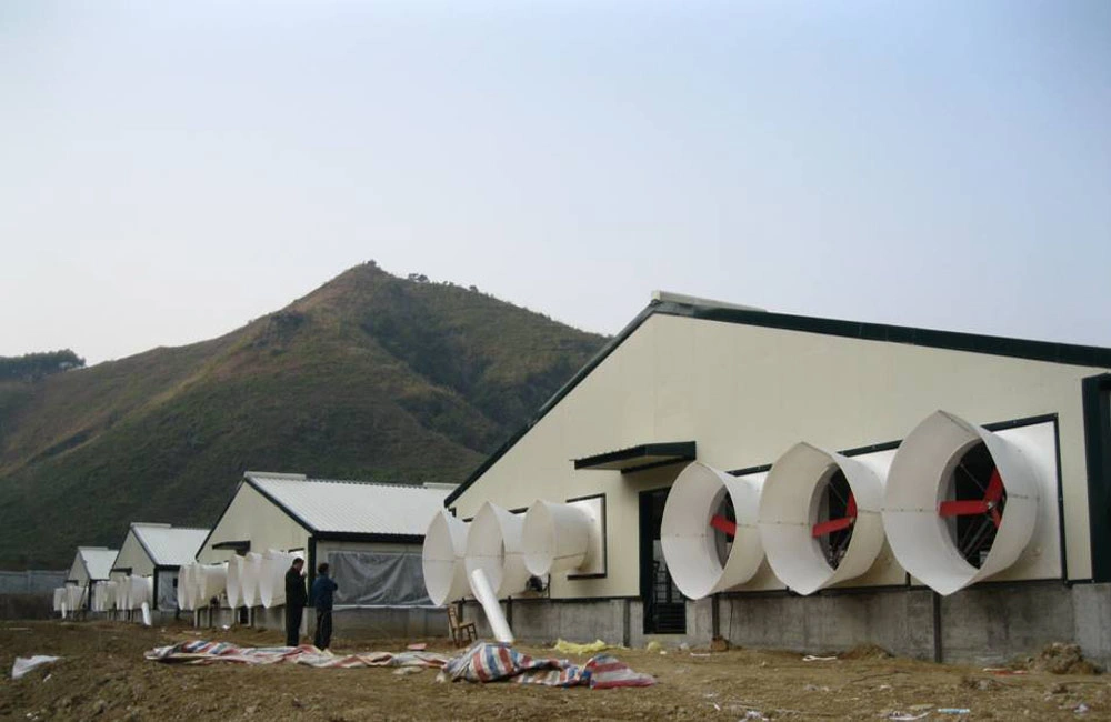 Steel Chicken Farm with Wholeset Equipments