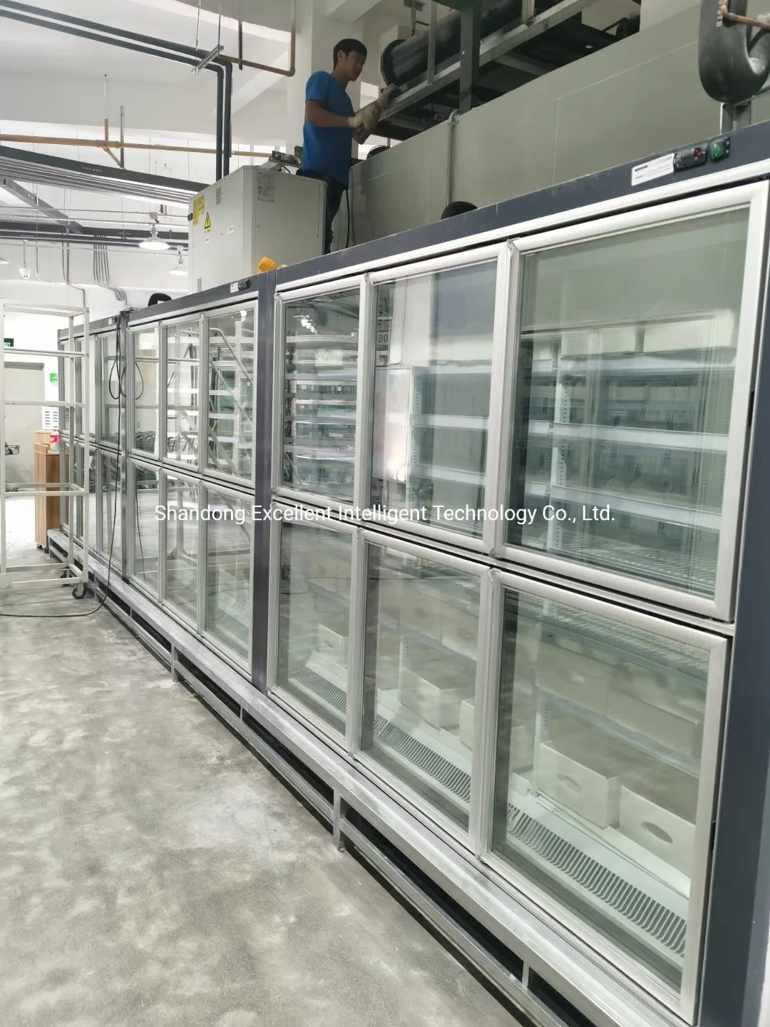 Factory Supply Good Quality Customizable Cold Room Racks Cold Room Freezer