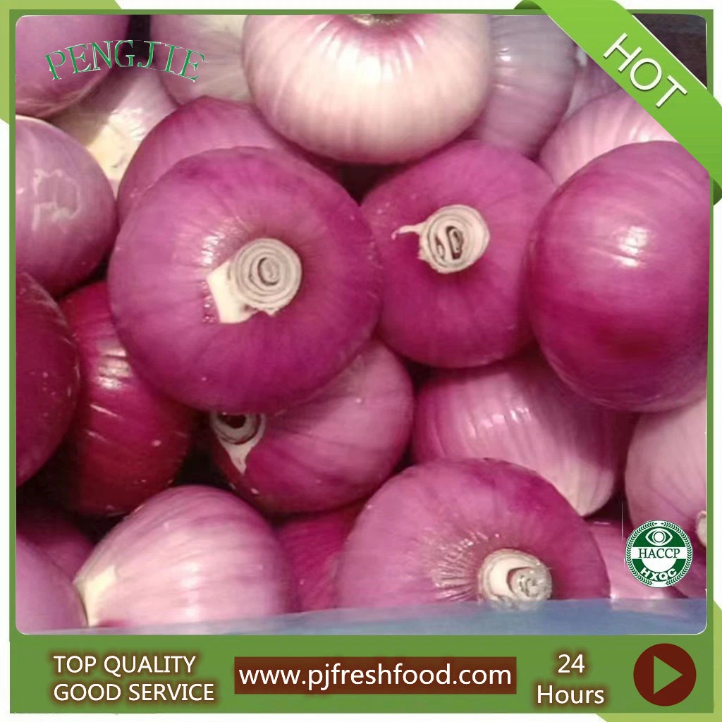 China Vegetables IQF Onion Frozen Peeled Chunk/Dice/Slice Onion with Wholesale/Supplierr Bulk Price