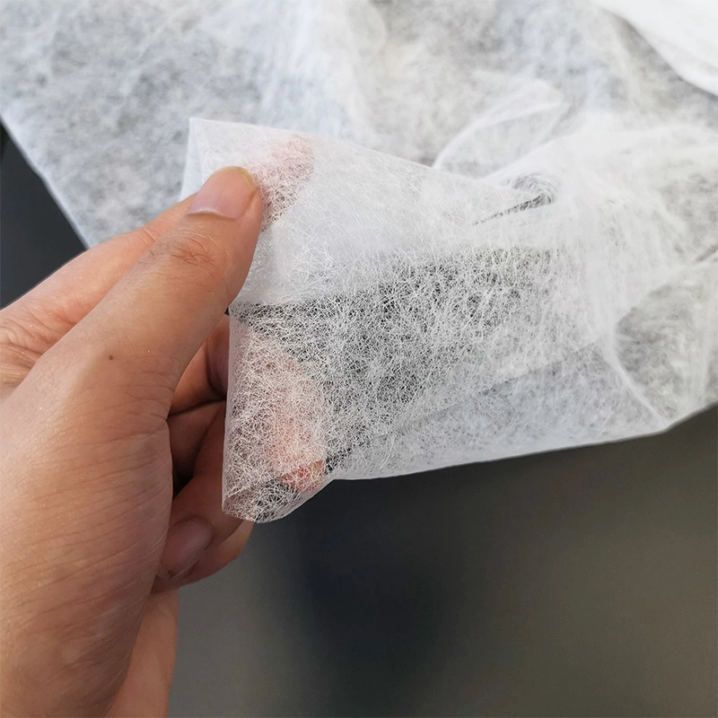 Fusible Nonwoven EVA Hot Melt Adhesive Web for Fabric, Footwear