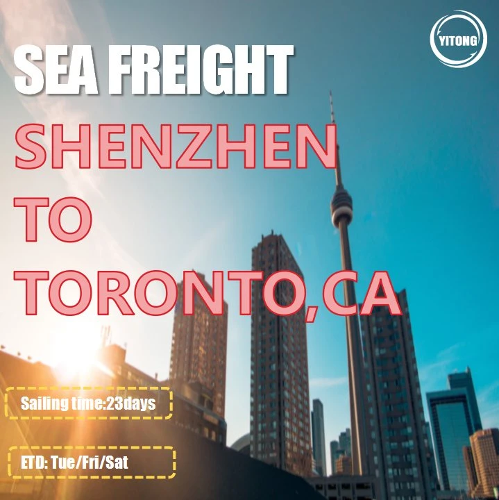 Ocean Freight Shipping From Shanghai to Ottawa Calgary Vancouver