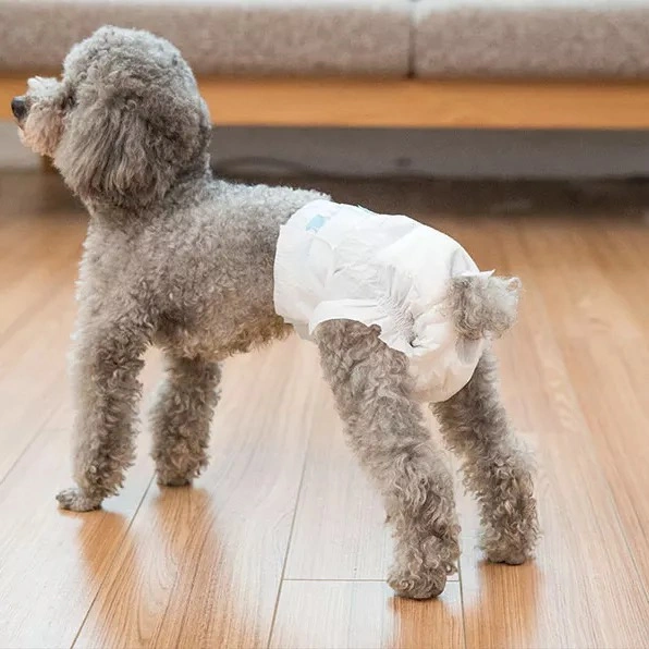 Disposable Dog Supplies Leak Proof Nappies Pet Puppy Menstrual Pants Female Diapers