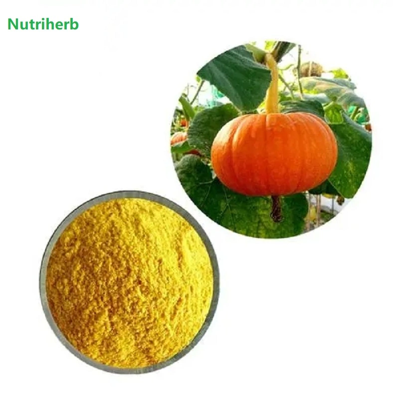 Wholesale/Supplier Supply 100% Natural Pumpkin Powder