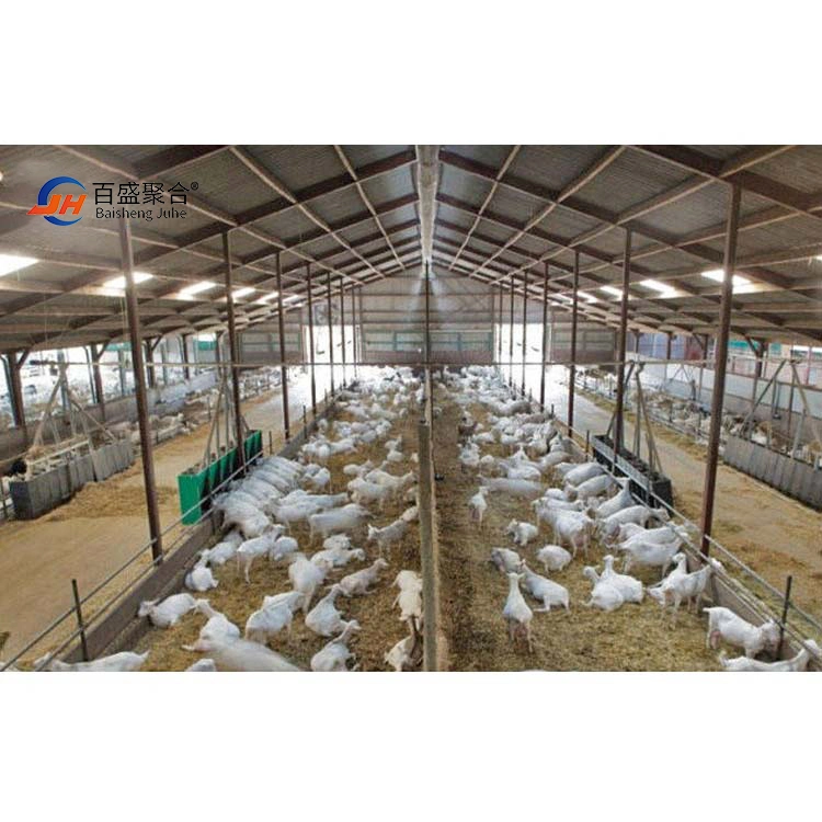 Low Cost Livestock Shelter Dairy for Live Cattle and Goat Shed