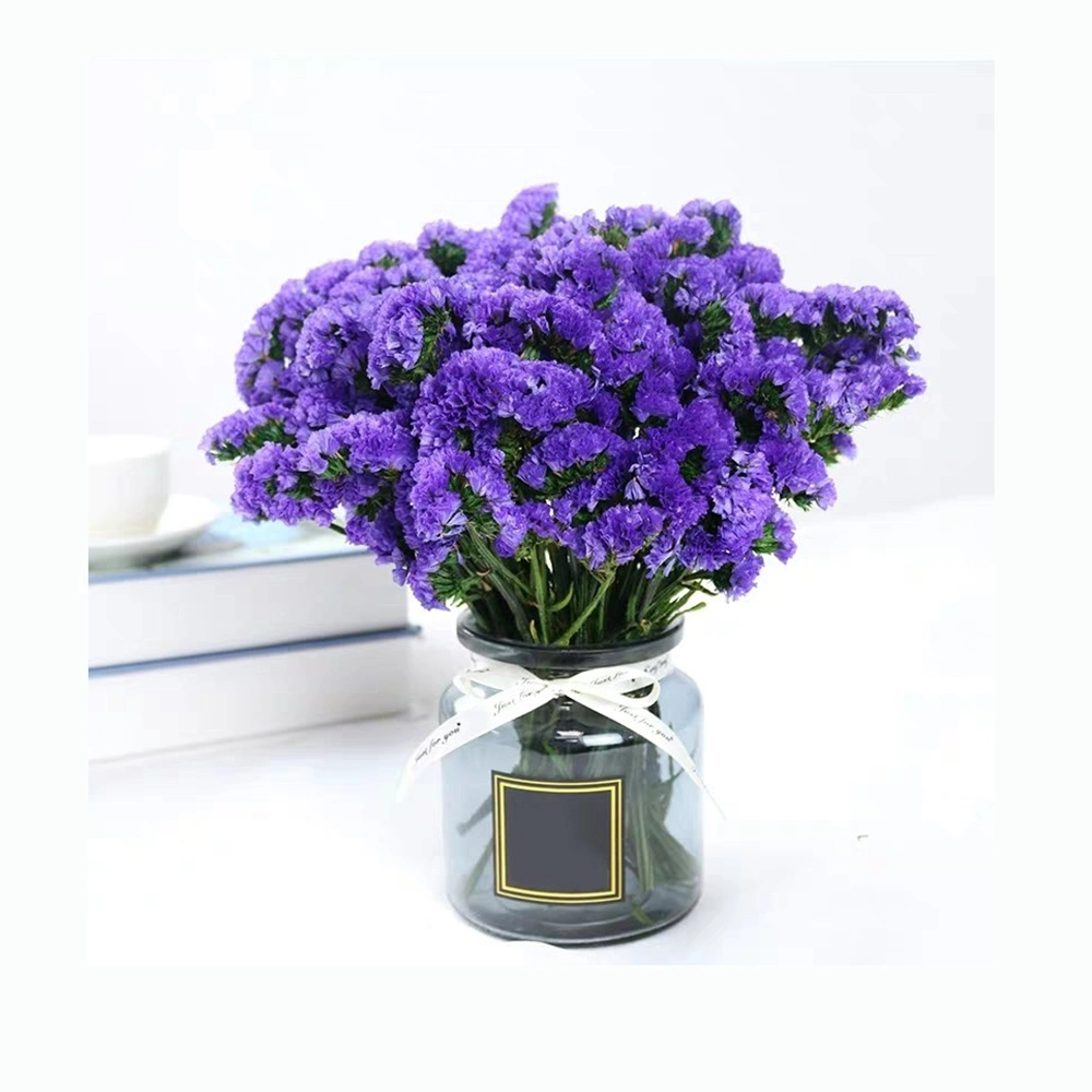 China Supplier Wholesale/Supplier Hot Sell Fresh Cut Flowers Statice for Best Decoration