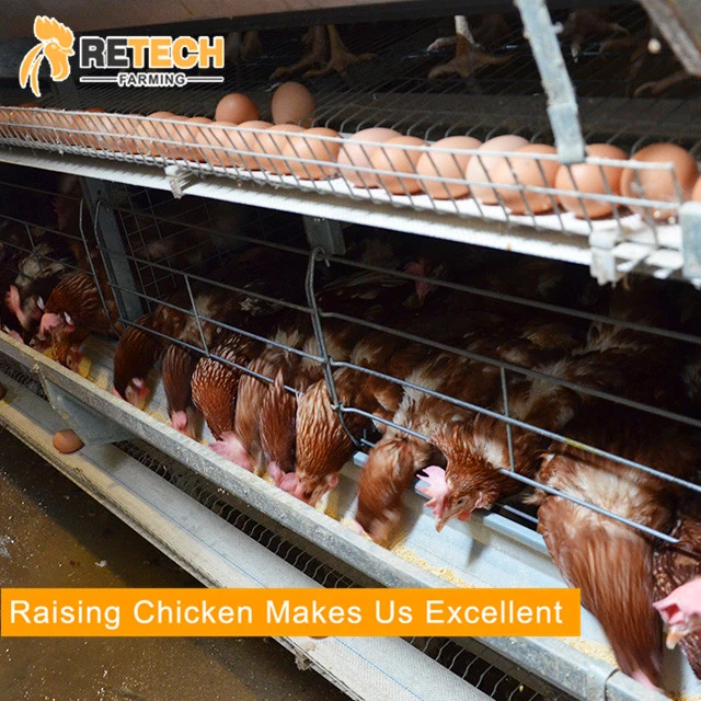 Good Price Automatic Poultry Farm Equipment Layer Laying Hens Chicken Battery Cage for Sale