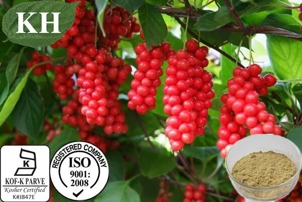 Schisandra Berry Extracto 1%-9% Schisandrins HPLC.