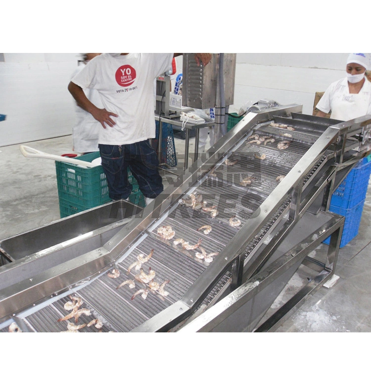 Les poissons de la glace à bille en acier inoxydable vitrage crevettes fraîches de la machine Machine de revêtement de glace