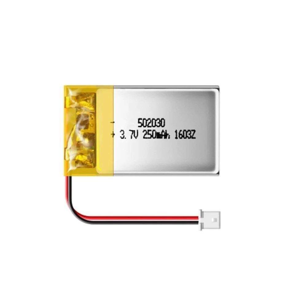 48V Lipo Battery Small Lithium Polymer Battery 6200mAh Lithium Polymer Battery Lithium Polymer Battery for Electric Vehicle